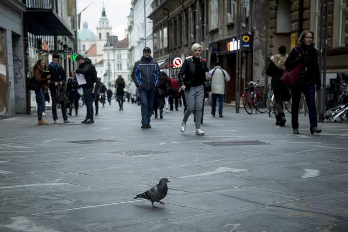 Nenadni srčni zastoj vsako leto doživi približno 1600 Slovencev. Na stotine jih umre, ker jim očividci ne znajo pomagati, čeprav bi jih s pravočasno izvedenimi postopki oživljanja lahko rešili.  | Foto: Ana Kovač