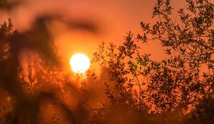 Slovenija: začetek leta z rekordnimi temperaturami