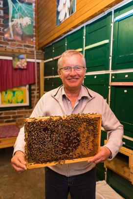Herman Kisilak Čebelji gradič med čebele kmetija turizem Prekmurje Rogašovci