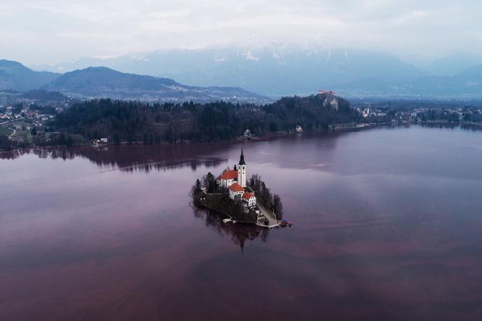 Blejsko jezero rdeče | Cvetenje se je v Blejskem jezeru v preteklosti pojavilo že velikokrat. Glavni vzrok je prevelik vnos hranil v jezero, ki izhaja iz več virov. | Foto Jani Kolman