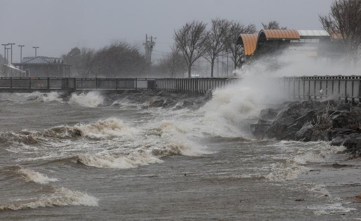 neurje | Foto: Profimedia