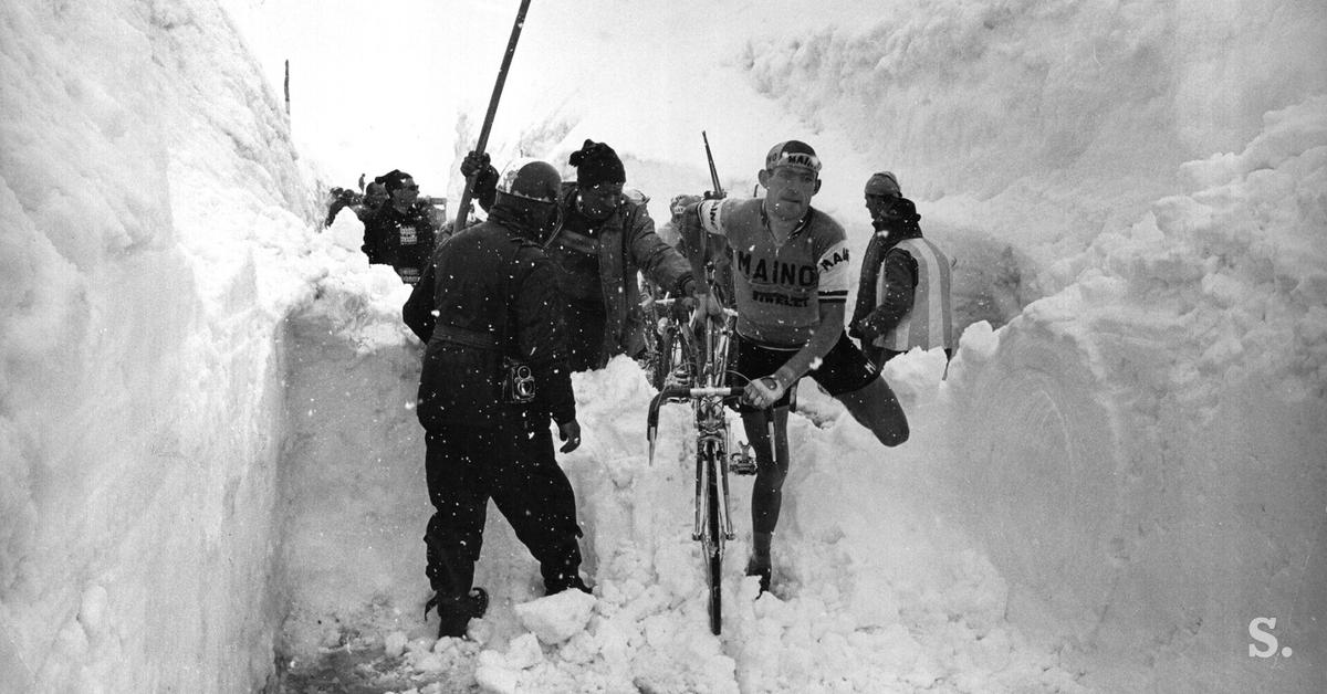 8b08a11ad3da227c60f3-prelaz-stelvio-aldo