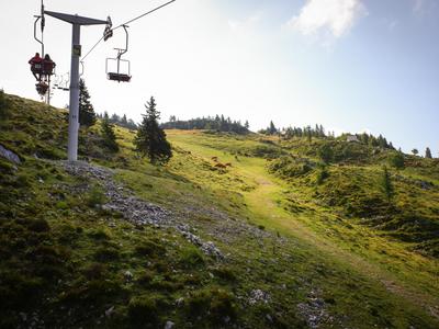 Velika Planina: pogrešanega pohodnika še vedno iščejo