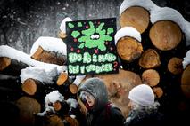 Protest proti sečnji gozda na Rožniku