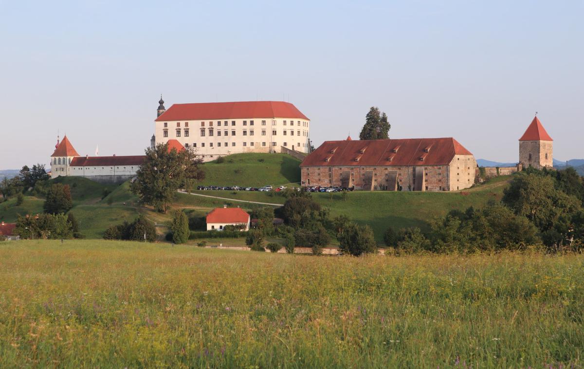 Ptuj, panorama | Na Ptuju potekajo Dnevi poezije in vina. Na današnjem pogovoru so avtorice razpravljale o ženski in moški perspektivi pisanja. | Foto Vida Toš/STA