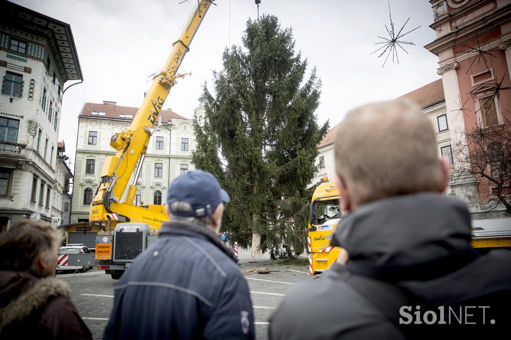 Novoletna smreka v Ljubljani Prešernov trg