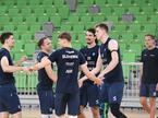 slovenska odbojkarska reprezentanca