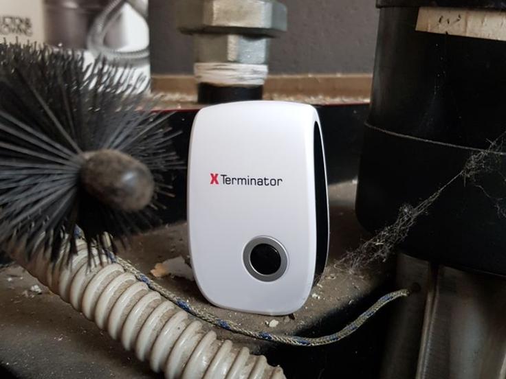 X terminator | Foto: 