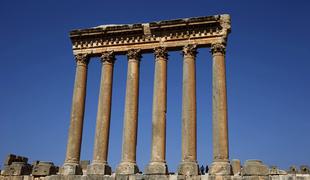 Divja skrivnost je razvozlana