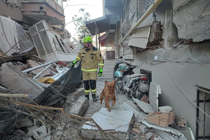 Reševalni pes | Reševalni psi se zaradi razbite steklovine in drugih ostrih predmetov pri delu pogosto poškodujejo. | Foto Twitter/Uprava za zaščito in reševanje