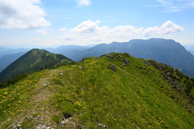 Pogled z Govce naprej proti nadaljevanju grebena z Gladkim vrhom. V ozadju je Raduha. | Foto: Matej Podgoršek