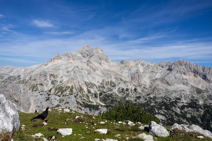 pohod na Veliki Draški vrh | Veliki Draški vrh in pogled na našo najvišjo goro Triglav | Foto Matej Podgoršek