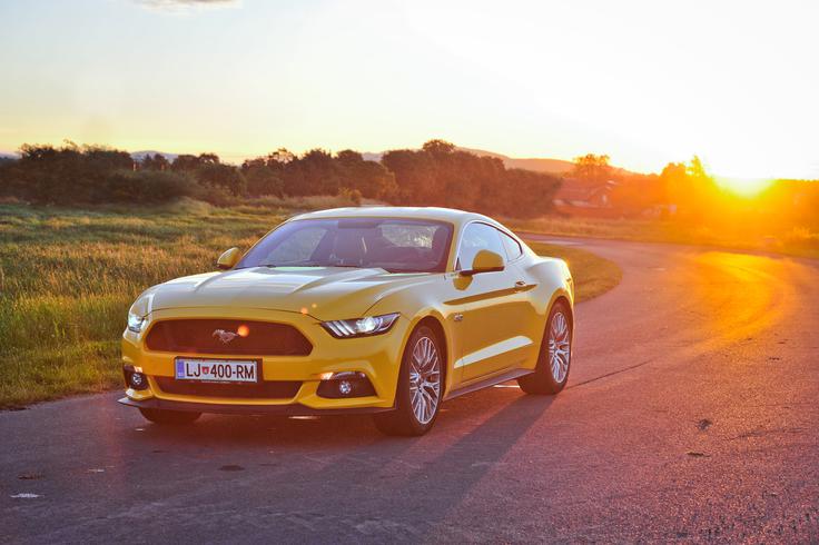 Ford mustang V8 5,0 - fotogalerija testnega vozila | Foto: Ciril Komotar