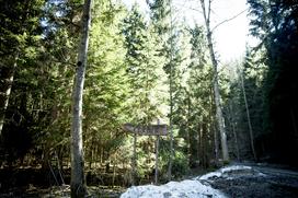 Turistična kmetija Kladje Andreja Henrik Podlesnik Ljubno