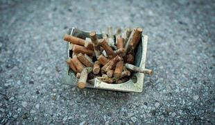 Pet let od uvedbe protitobačne zakonodaje delež kadilcev ostaja enak