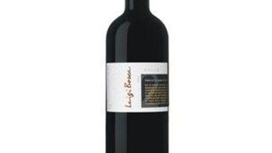 Mendoza – puščava, kjer gojijo trto 