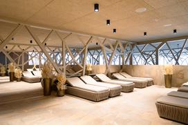 WellnesS Vodian Terme Olimia