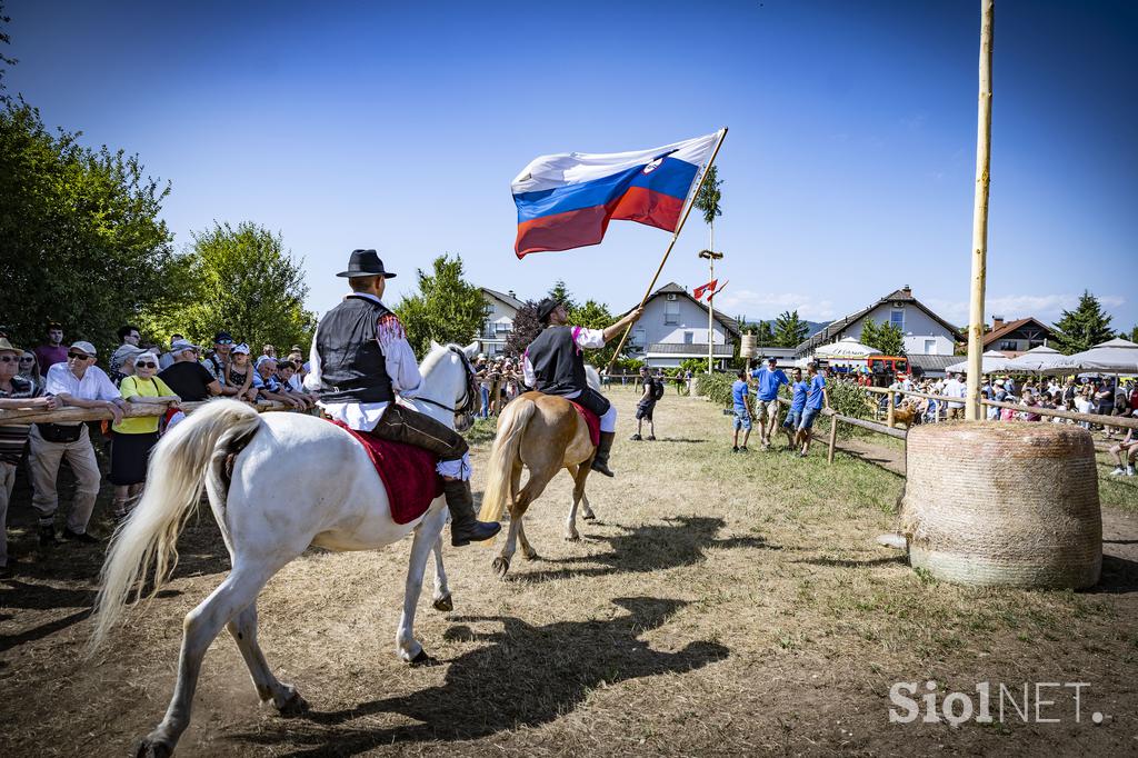 Posavsko štehvanje