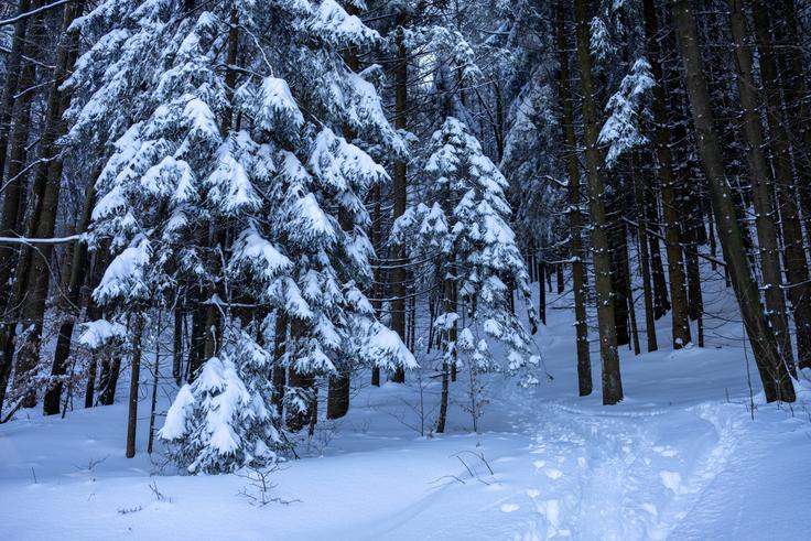 Nad zaselkom Lome se začne strmejši del vzpona. | Foto: Matej Podgoršek