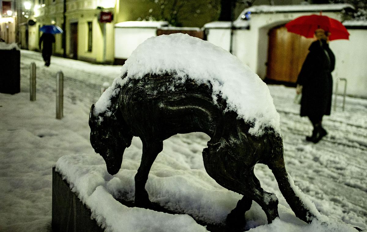 sneg v Ljubljani | Popoldne bo v notranjosti države še občasno snežilo. | Foto Ana Kovač