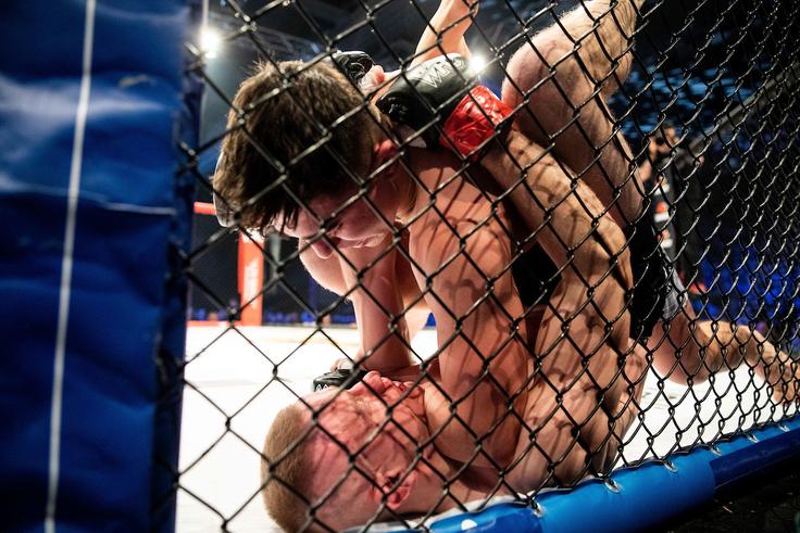 WFC 24 | Foto: Vid Ponikvar