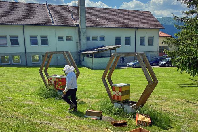 Medved. Zapor Dob. Obisk medveda. | Obisk naj bi se zgodil med 2. in 3. uro ponoči, ko je bilo slišati tudi močno lajanje okoliških psov. | Foto Urbani čebelar