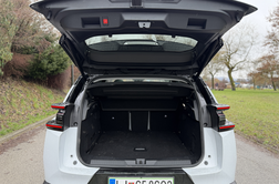 Družinski favorit: veliko cenejši servisi so le ena plat dileme