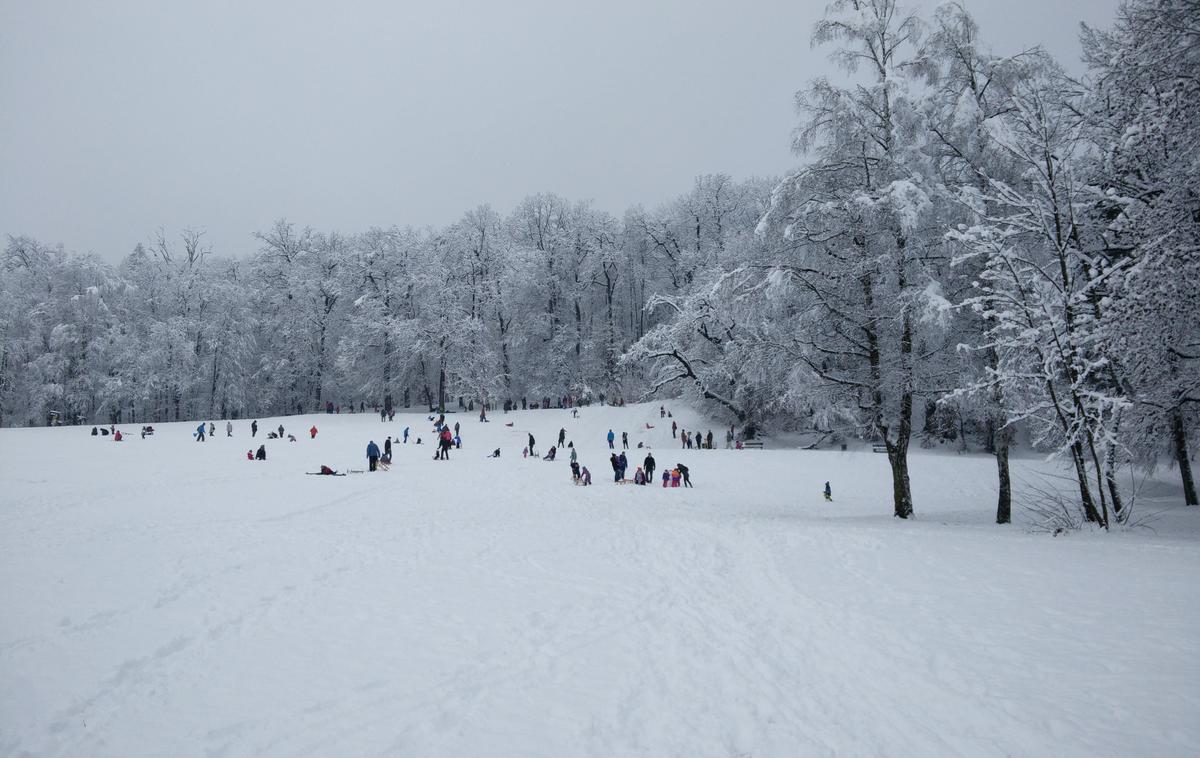 sneg sankanje | Foto Vid Libnik