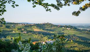 Vinska degustacija in električna polnilnica: naravna kombinacija