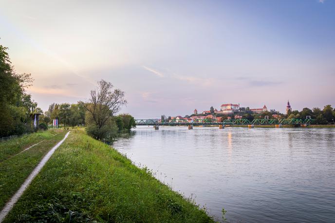 Reka Drava, Ptuj | Fotografija je simbolična. | Foto Shutterstock
