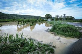 Poplave Dragonja