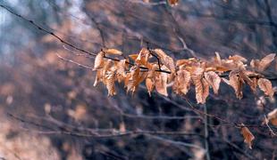 Kratko zatišje: sledi vremenski preobrat
