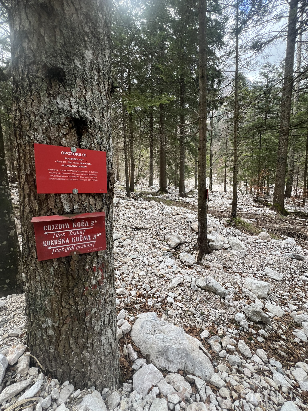 Suhadolnik Kokrško sedlo
