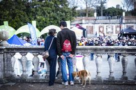 Strade Bianche Tadej Pogačar