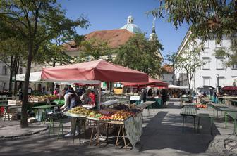 Garaža pod tržnico še daleč