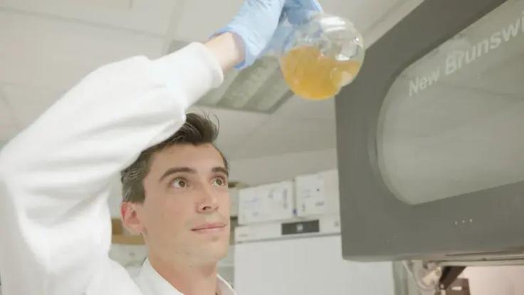 Doktorski študent na edinburški univerzi preverja rast kulture bakterij E. coli. | Foto: The University of Edinburgh
