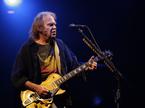Neil Young, glasbenik