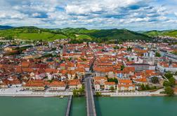 Maribor razglasili za vinsko prestolnico Evrope