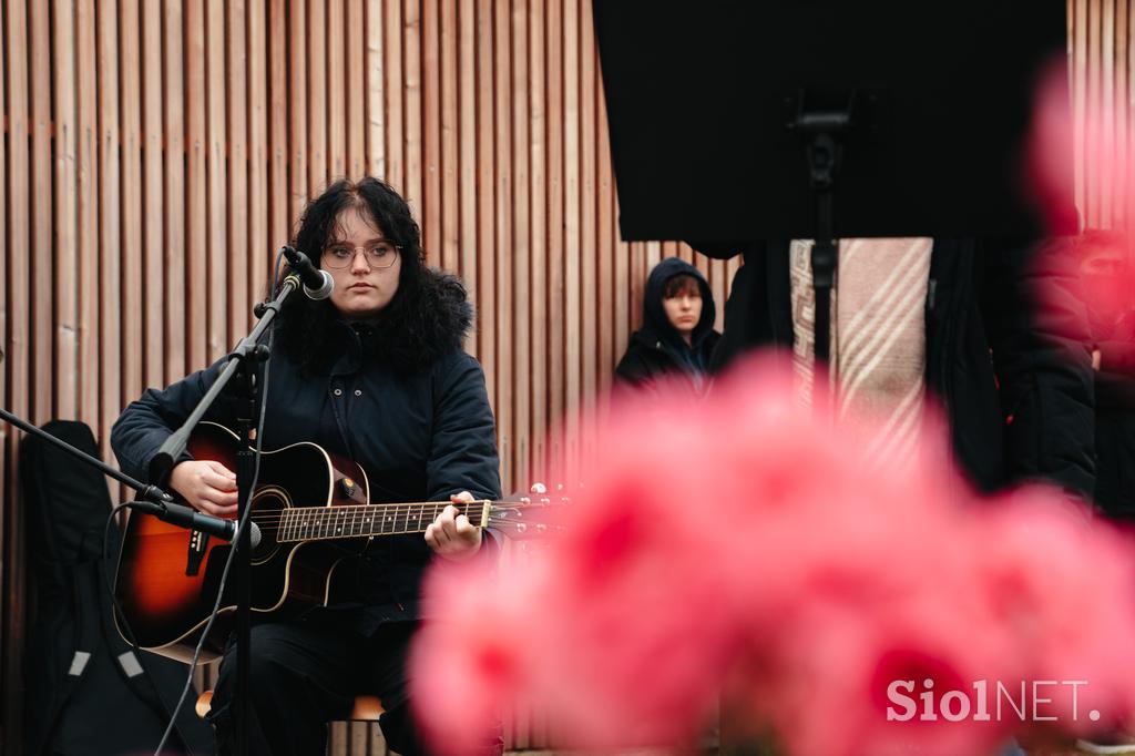 Šola za hortikulturo in vizualne umetnosti Celje