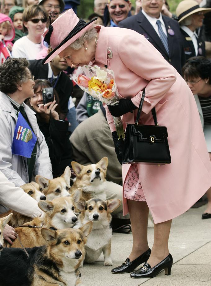 Kraljica je v svojem življenju imela že več kot 30 korgijev. | Foto: Reuters