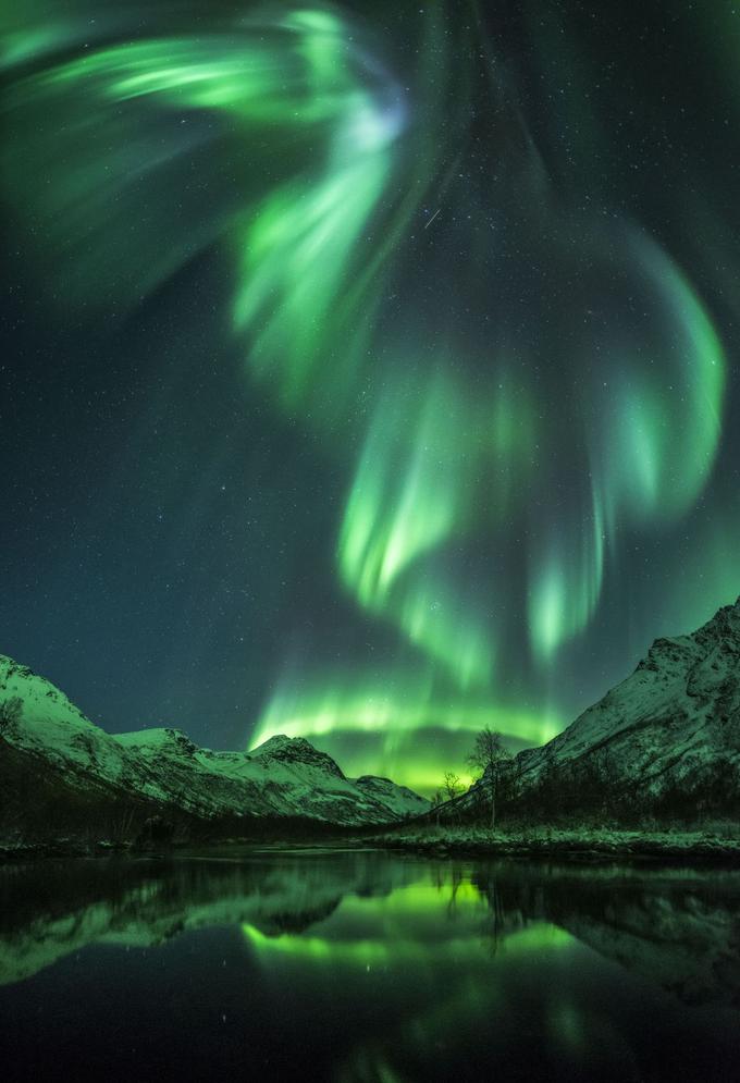 Aurora na Norveškem, ki malce spominja na velikansko ptico. Foto: Jayn R. Olsen. | Foto: 