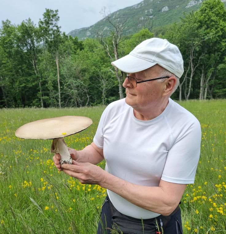 Jože Podboj je odličen poznavalec užitnih divjih rastlin in gob. Je gobarski determinator in obenem tudi strastni fotograf, ki ima v svoji zbirki nekaj tisoč fotografij. | Foto: Jože Podboj, osebni arhiv