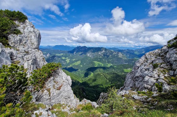 Pogled prek grebena Raduhe v smeri severa – proti Solčavski panoramski cesti in mejnemu grebenu Olševe. | Foto: Matej Podgoršek