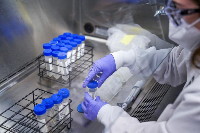 testiranje covid | V soboto so potrdili 558 okužb s koronavirusom. | Foto Reuters