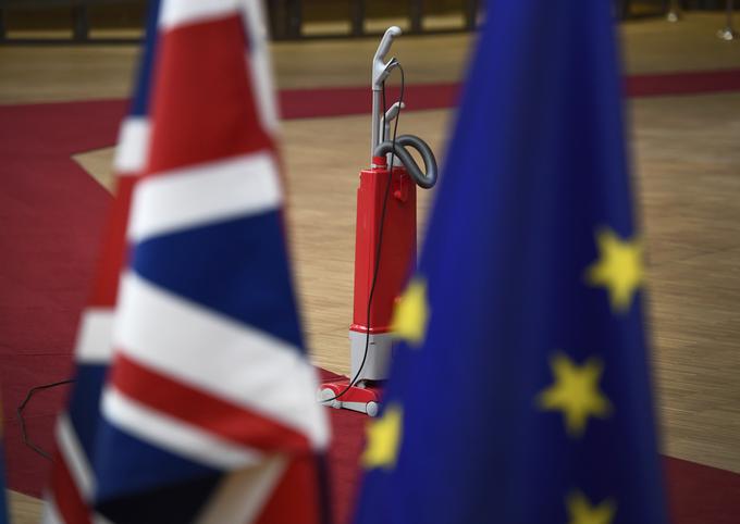Zagovornikom brexita je uspelo celo evropska energetska pravila o sesalnikih uporabiti kot argument za svoj prav. | Foto: Reuters