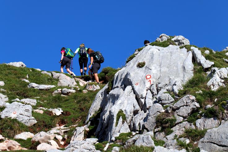Grintovec Grintovec | Foto: Matej Podgoršek