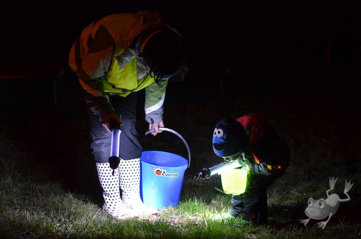 Hraše, 2013 | Foto: pomagajamo-zabicam.si