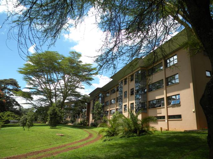 "Podnebje je po mnenju večine obiskovalcev Kenije sanjsko, saj se temperatura stalno giblje recimo med 15 in 25 stopinjami Celzija in je prijetno toplo. Zaradi idealne temperature v naši stavbi ni ne ogrevanja ne klime." | Foto: 