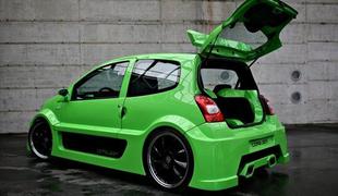 Slovenski renault twingo cameleon ostaja doma