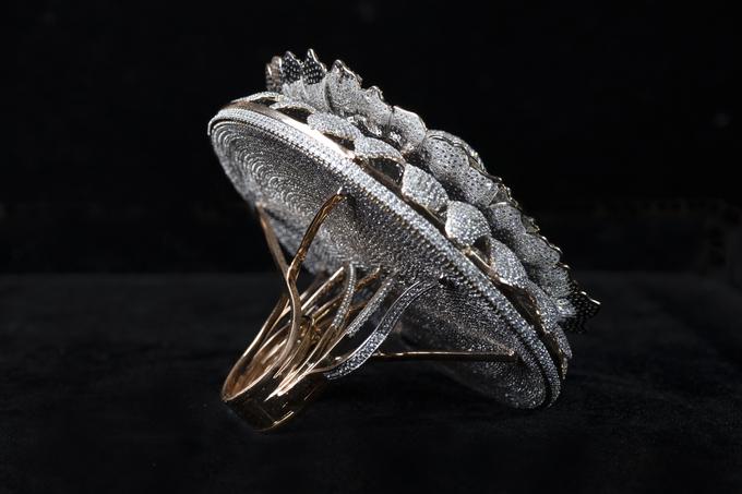 prstan z največ diamanti | Foto: Renani Jewels/Cover Images